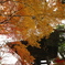紅葉と鐘　弐