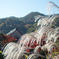 嵐山2020 11 17 01