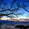 冬の夕暮れ