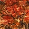 紅葉隧道