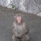 いらっしゃいまし～