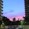 ビルの間の夕焼け