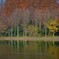 水元公園