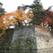 会津鶴ヶ城紅葉