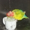 ひなちゃん　水浴び