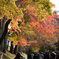 東福寺