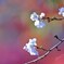 IMG_20201124_163350_980