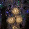 20110104_183452