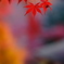 三渓園