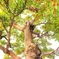 8078F389-81BD-42CA-A02C-E432130E1861