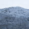 降雪