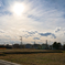 Sigma 35mm f1.2 逆光どんな感じ？