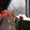 9577620E-C22E-41F6-94A8-70BFA46008DD