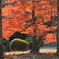 紅葉花