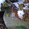 雪解け