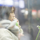公衆電話