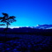 Winter Blue