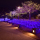 Silent night, Holy night 4
