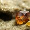 Sphalerite