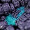Heterogenite, Chrysocolla