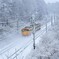 樹氷を駆け抜ける