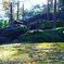 IMG_20201211_092950_435暖かい日差し