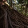 筑波山2