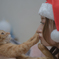 Have a merry Chiristmas. ～サンタと猫～