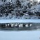 凍らない水場
