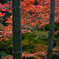 和み。