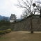 宇和島城５