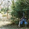 img037