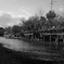 公園の路