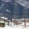 雪山に向かうステン君～♪