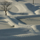 雪の中の棚池