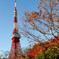 芝公園-4
