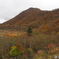 赤城山ツーリングの一コマ - 赤城山鳥居峠から見た紅葉