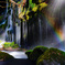 Winter rainbow