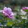 B7B84DD7-8D75-4783-8450-EEAD76CB9801