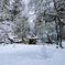 令和三年元旦の雪