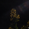 20210102_090808