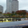 P1000137