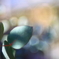 オールドレンズF1.4