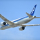 青空に向かって