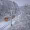 樹氷と信越本線