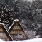 厳冬期の白川郷　DSC01793