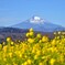 吾妻山公園からの風景