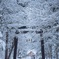 士別神社「冬」