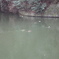 DSC00070