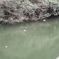 DSC00071